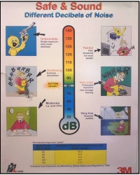 Safe &amp; Sound &quot;Different Decibels Of Noise&quot;